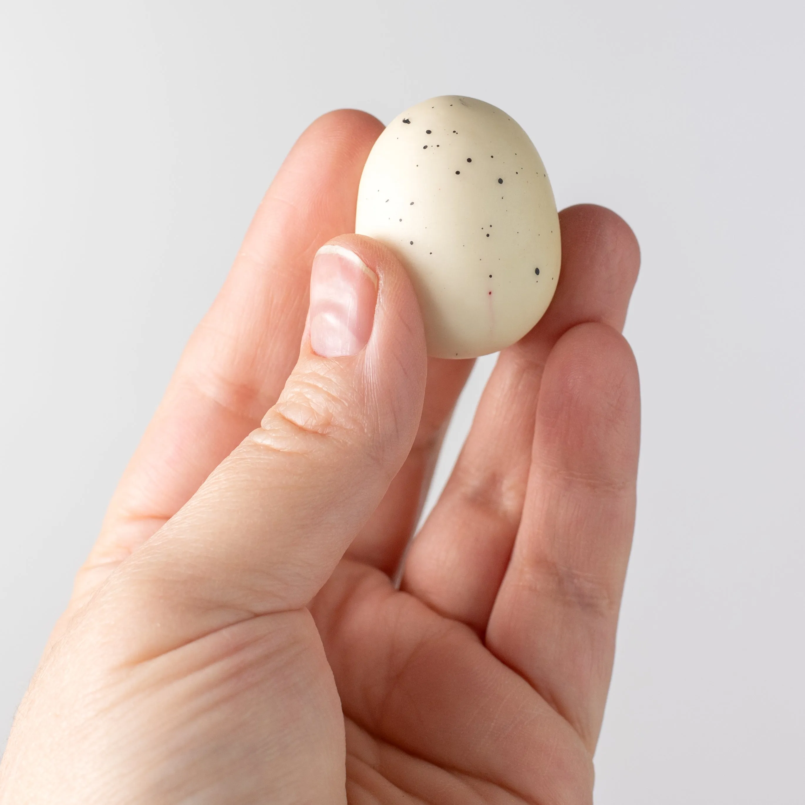 1.5" Eggs: Ivory & Black (12)