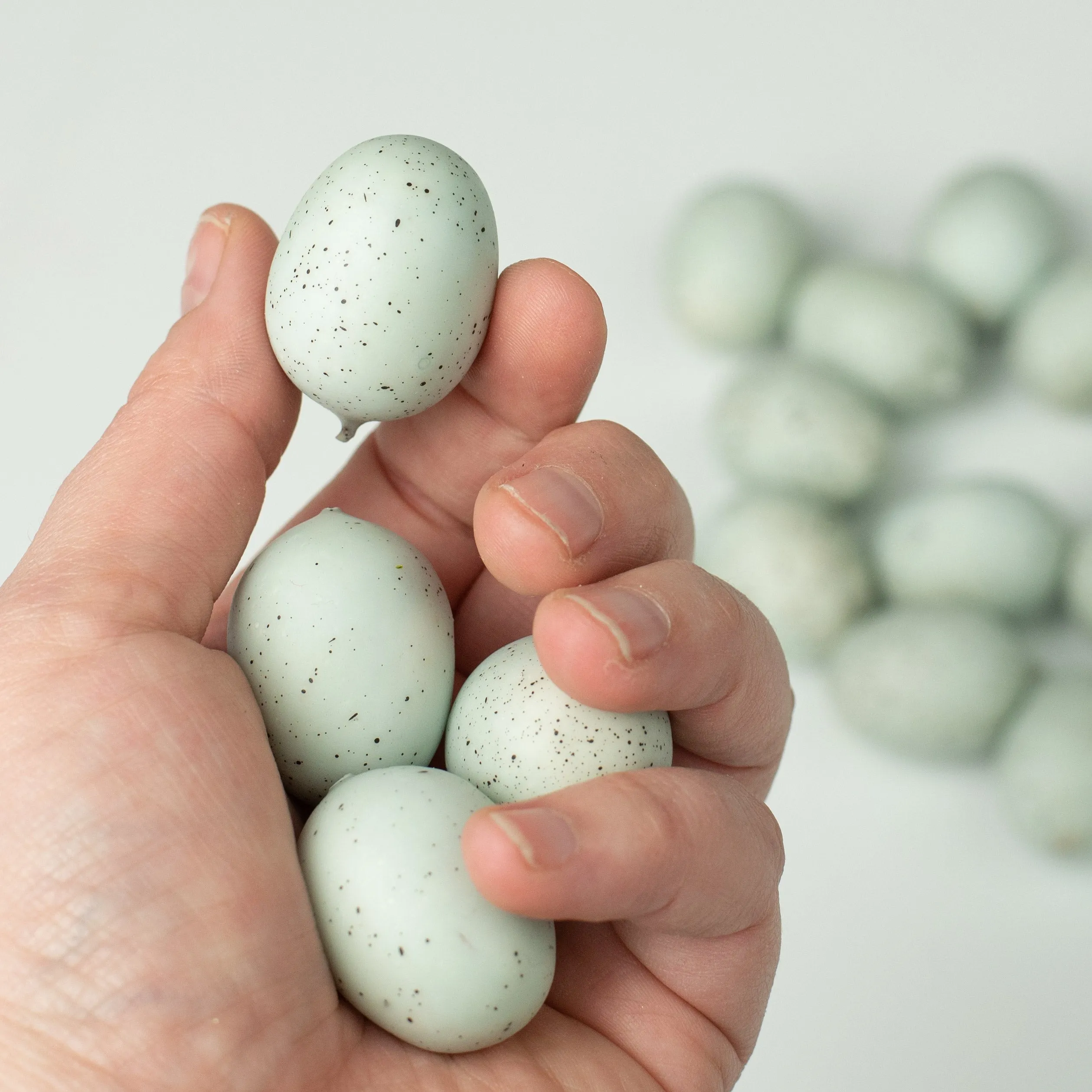 1" Eggs: Light Blue & Black (24)