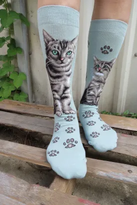Cats - American Short Hair Women Size