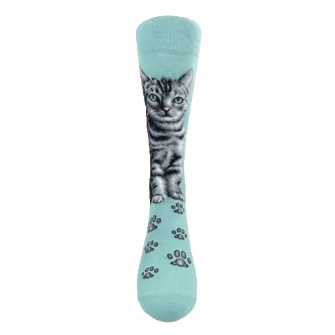 Cats - American Short Hair Women Size
