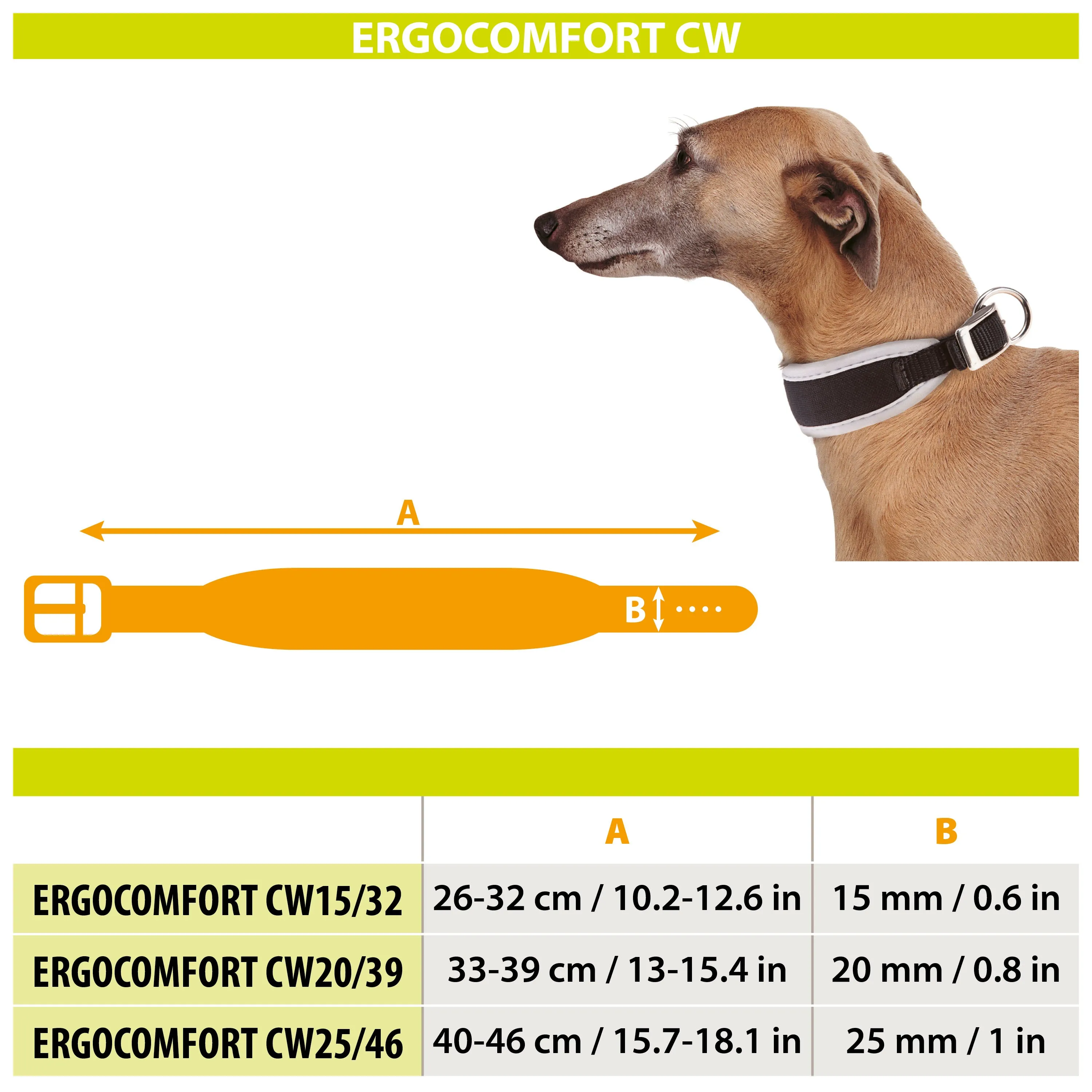 ERGOCOMFORT CW