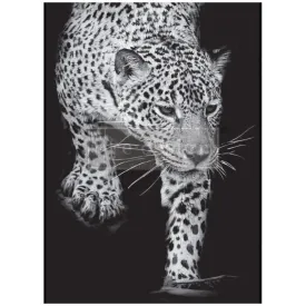 FELINE GAZE  A1 Decoupage Fiber