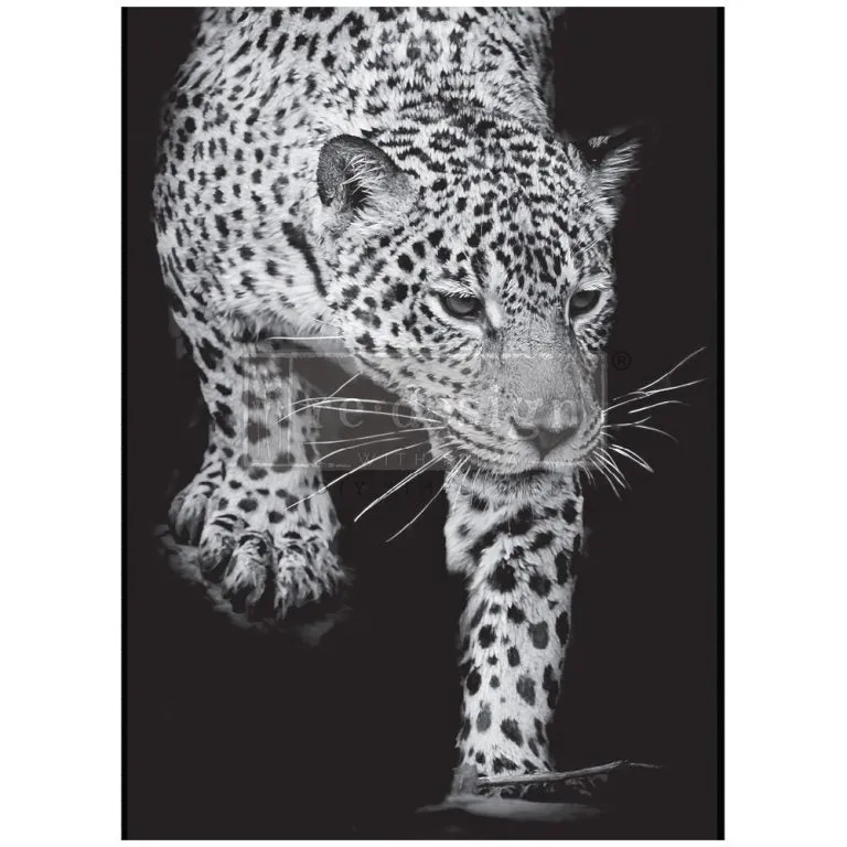FELINE GAZE  A1 Decoupage Fiber