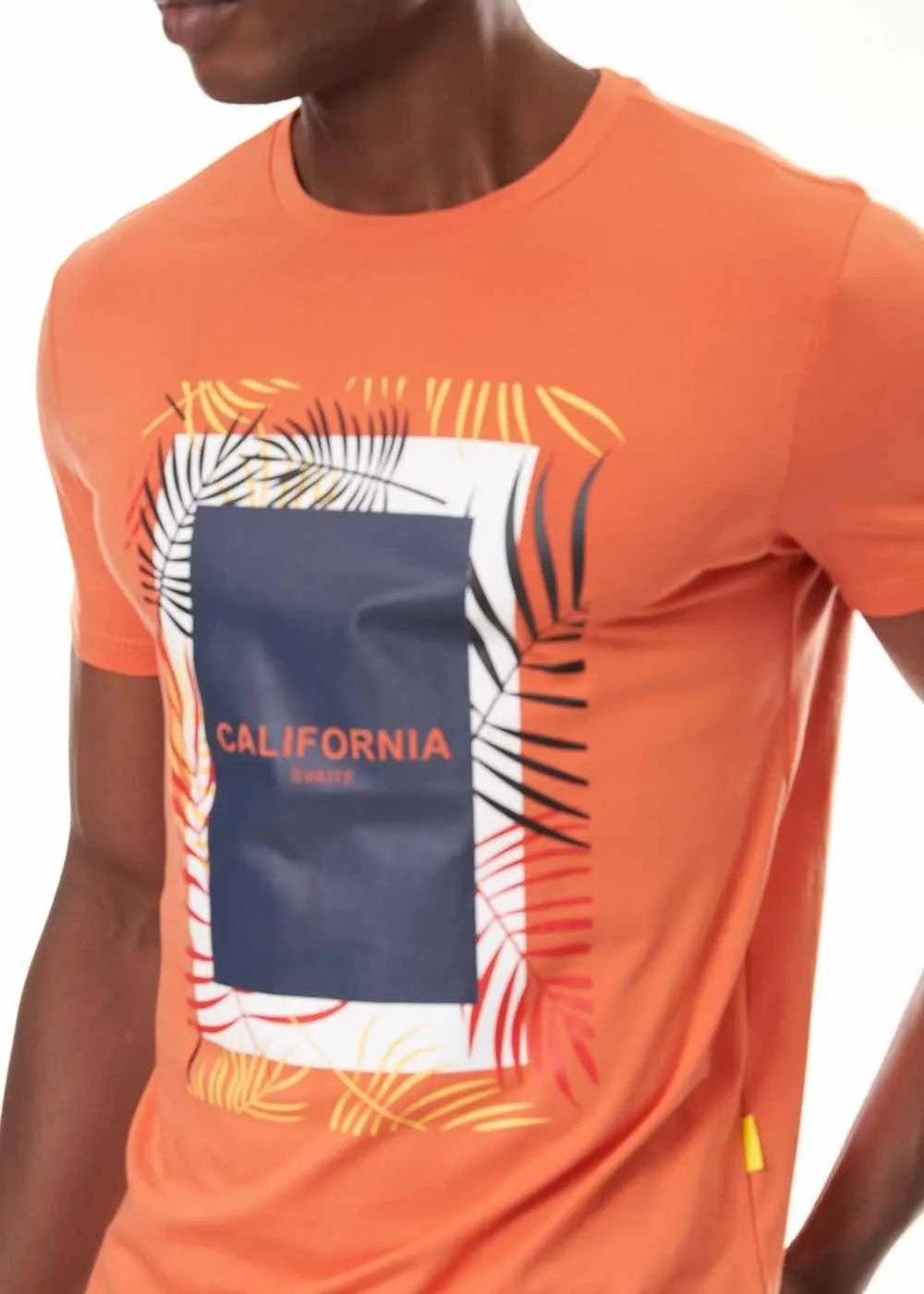 MEN'S TSHIRT CALIFORNIA PALM